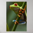 Buscar frío blooded posters Integral
