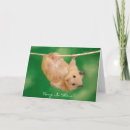 Buscar el colgar tarjetas 8 º tarjeta
