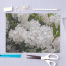 Buscar arbustos papel de seda Floral