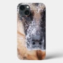 Buscar shepherd Animal