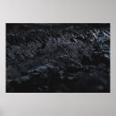 Buscar vida vegetal posters Negro