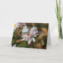 Buscar ama tarjetas Amor