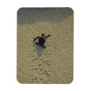 Buscar bebé a bordo imanes Borde