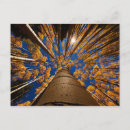 Buscar asta postales Arizona