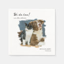 Buscar gato servilletas Recepción