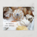 Buscar nueva vida postales Para ellos