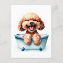 Buscar cangrejo feliz postales General y unisex