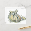 Buscar hierbas y especias postales Para todos