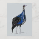 Buscar guineafowl Rebelión