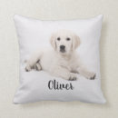 Buscar golden retriever cojines Perrito