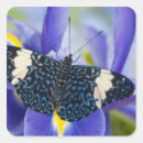 Buscar mariposas exóticas pegatinas Exótico