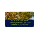 Buscar colores cambiantes postales 1 º caída