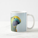Buscar amazona tazas Pájaro