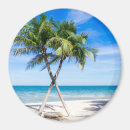 Buscar playa de la florida imanes Árbol