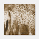 Buscar monocromático imanes Blanco y negro
