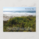 Buscar monterey fotografía Playa