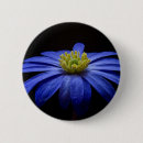 Buscar fondo negro chapas Flor