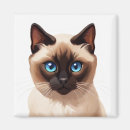 Buscar gatito siamés imanes Adorable