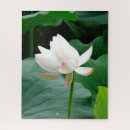 Buscar flor de loto puzzles Lirio