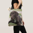 Buscar laboratorio del chocolate bolsos Perrito