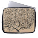 Buscar dibujos anatómicos Vintage