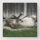 Buscar burros relojes de pared Granja