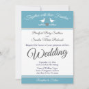 Buscar aves costeras postales Para ella