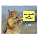 Buscar animales calendarios Humor