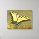 Buscar papilio Negro