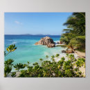 Buscar del sobrino posters General y unisex