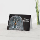 Buscar strix Búho gris grande