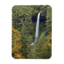 Buscar cascada imanes Parque