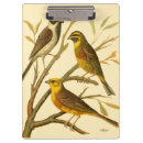 Buscar fondo amarillo libretas Pájaro