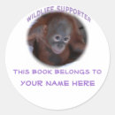 Buscar pequeño mono platos Cualquier niño