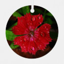 Buscar gotas de agua adornos Para todos