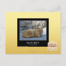 Buscar madurez postales Puedo tengo cheezburger