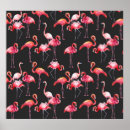 Buscar flamingo rosa posters Pintar