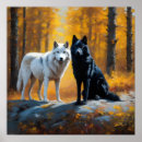 Buscar lobo blanco negro posters Bosque