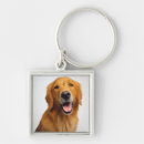 Buscar golden retriever llaveros Retrato