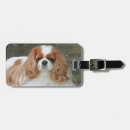 Buscar cavalier etiquetas para maletas Amante del perro