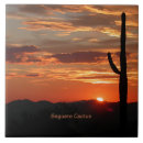 Buscar saguaro Naturaleza