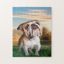 Buscar patrón de perro puzzles Cachorro