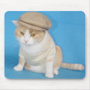 Buscar gatito del bubba Gato