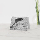 Buscar grúas del sandhill tarjetas Para todos