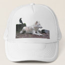 Buscar cuervos gorras Pájaro