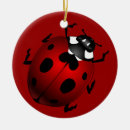 Buscar mariquitas adornos Insecto