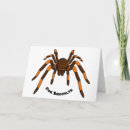 Buscar tarantula tarjetas Tarántula