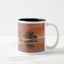 Buscar namib tazas África