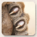 Buscar pata posavasos Vertical