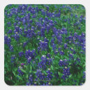 Buscar crecimiento pegatinas Azul